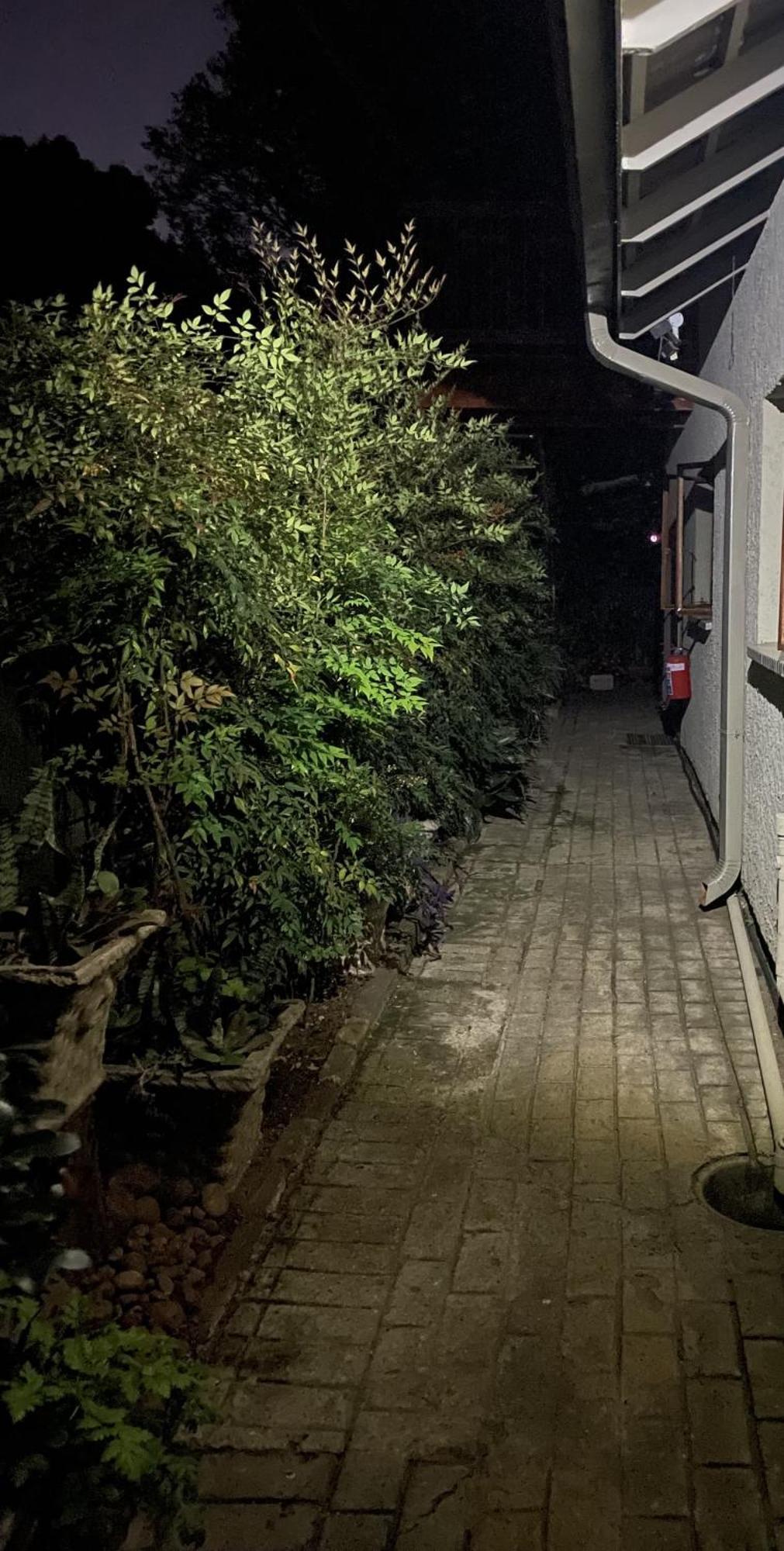 Celtis Lane Guest House Боксбург Екстериор снимка