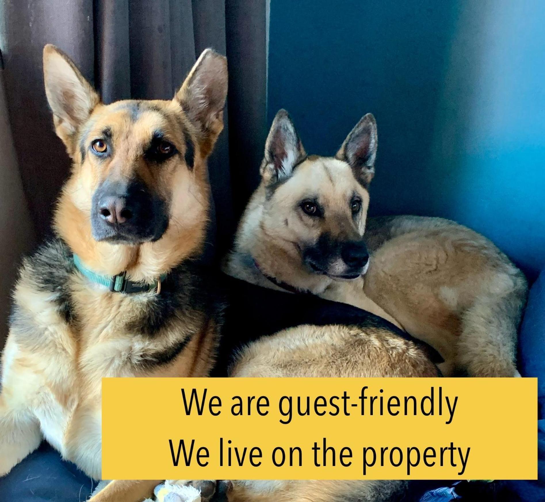 Celtis Lane Guest House Боксбург Екстериор снимка